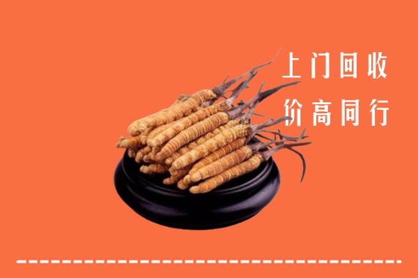 高价求购：祥云县回收散虫草
