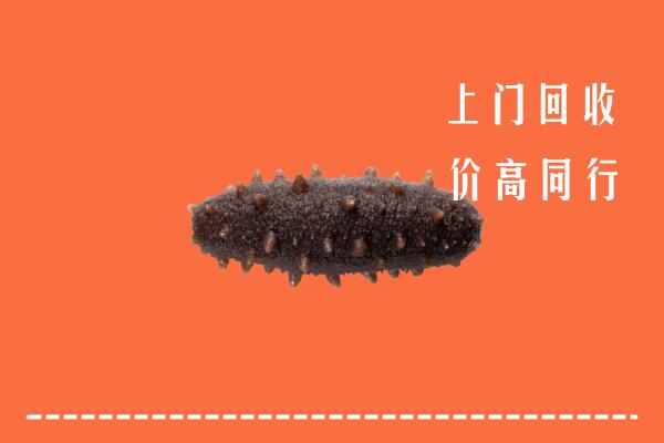 祥云县回收海参