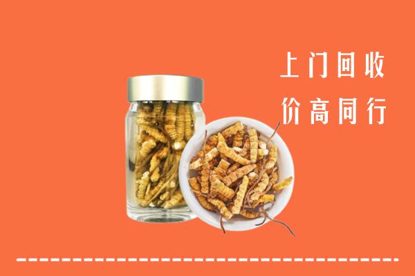 祥云县回收冬虫夏草